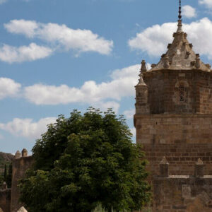 ¡¡¡NOS VAMOS DE EXCURSIÓN!!! domingo 2 de noviembre, MONCAYO MÁGICO Y MISTERIOSO